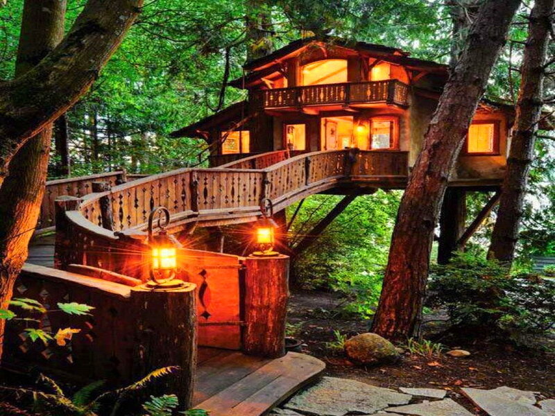 Treehouse in Forest — Green, Cozy