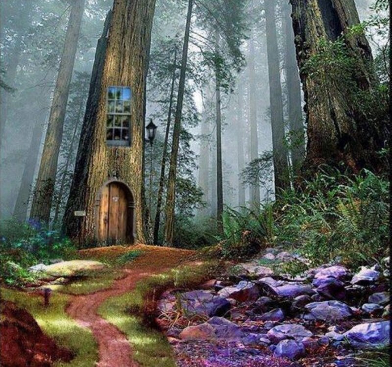 Treehouse in Forest — Green, Mystical