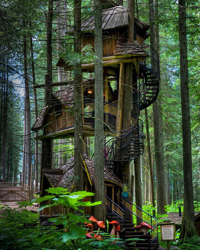 Treehouse in Forest — Green, Serene, Afternoon, Photograph, Spiral Staircase