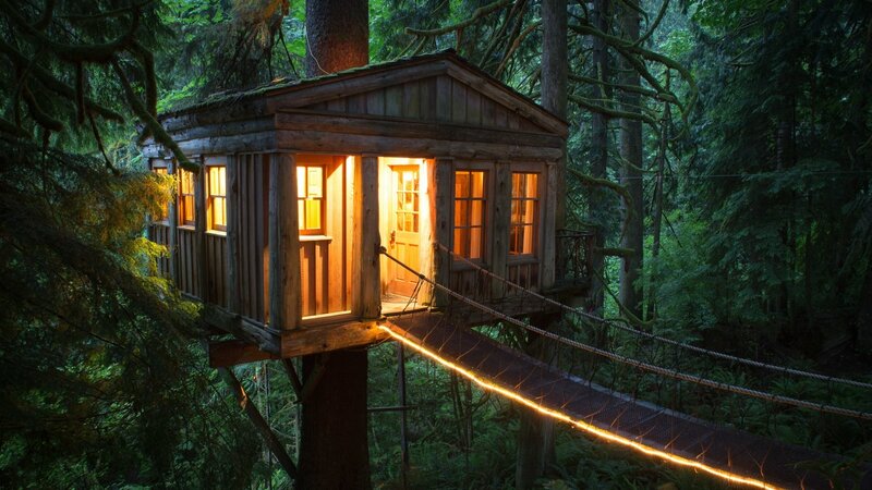 Treehouse in Forest — Green, Serene, Night, Photograph
