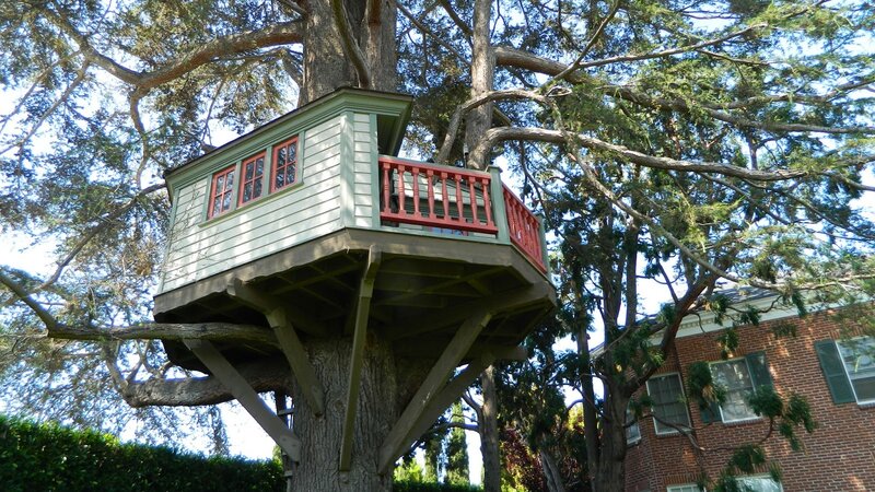 Treehouse in Large Tree