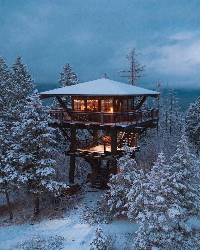 Treehouse in Snow