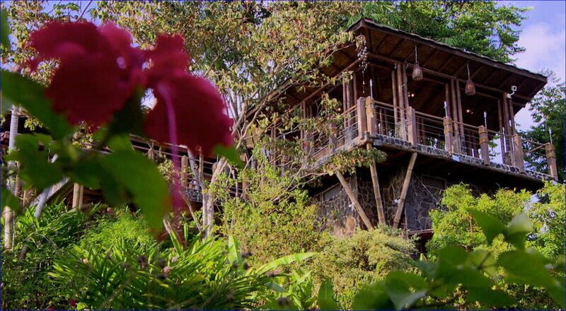 Treehouse in Tropical Garden