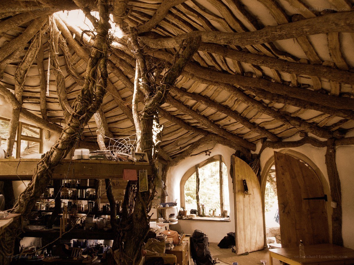 Treehouse interior with wooden beams