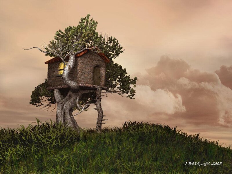 Treehouse on a hill