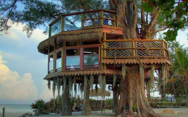 Treehouse on Beach