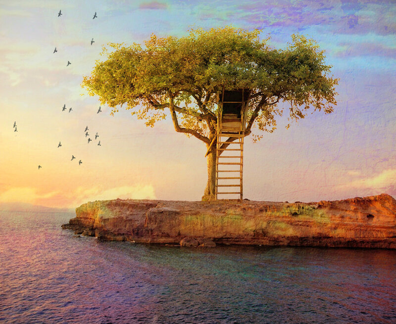 Treehouse on Island