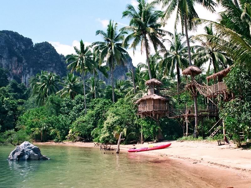 Treehouse on Tropical Beach — Green