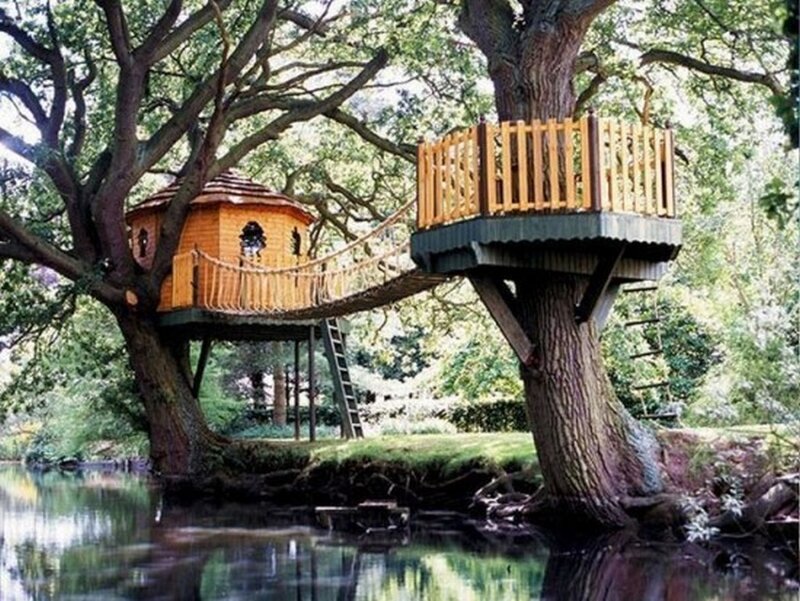 Treehouse over Water