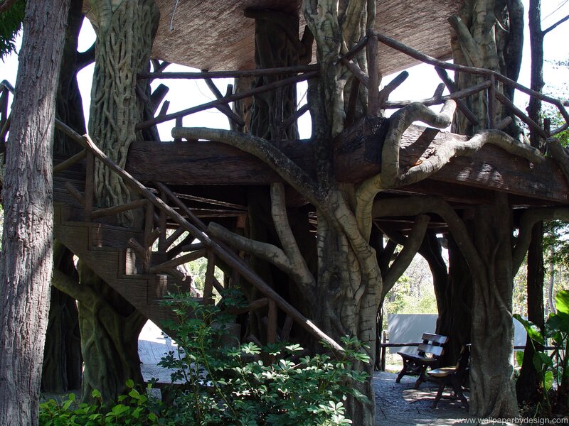 Treehouse Structure