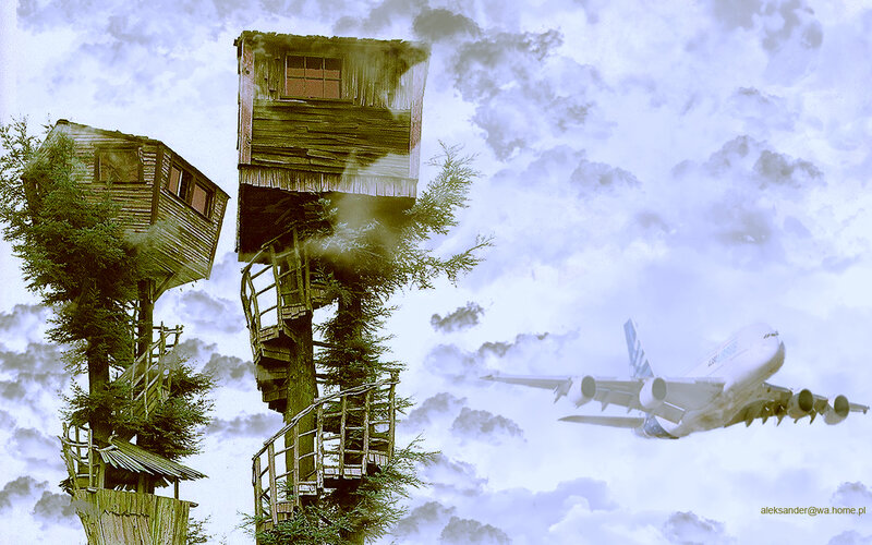 Treehouse Structures