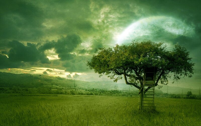 Treehouse under a green moon
