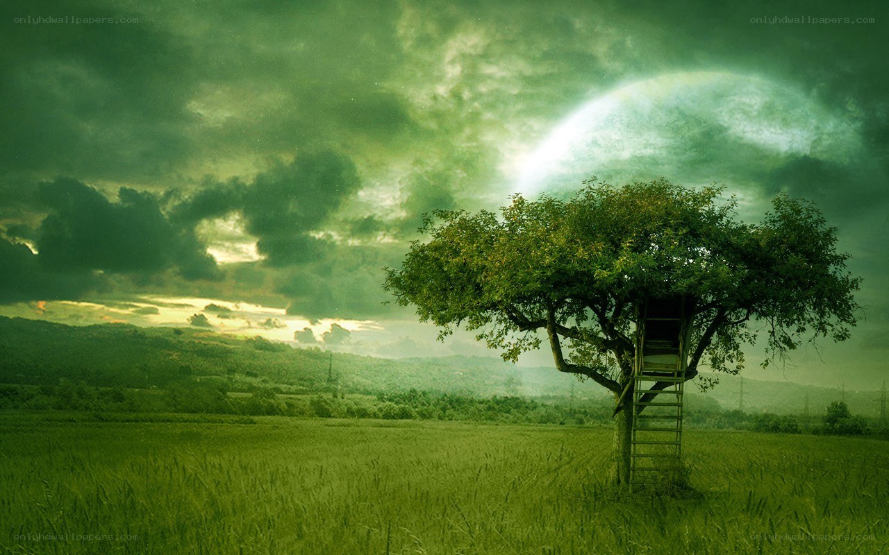Treehouse under a green moon