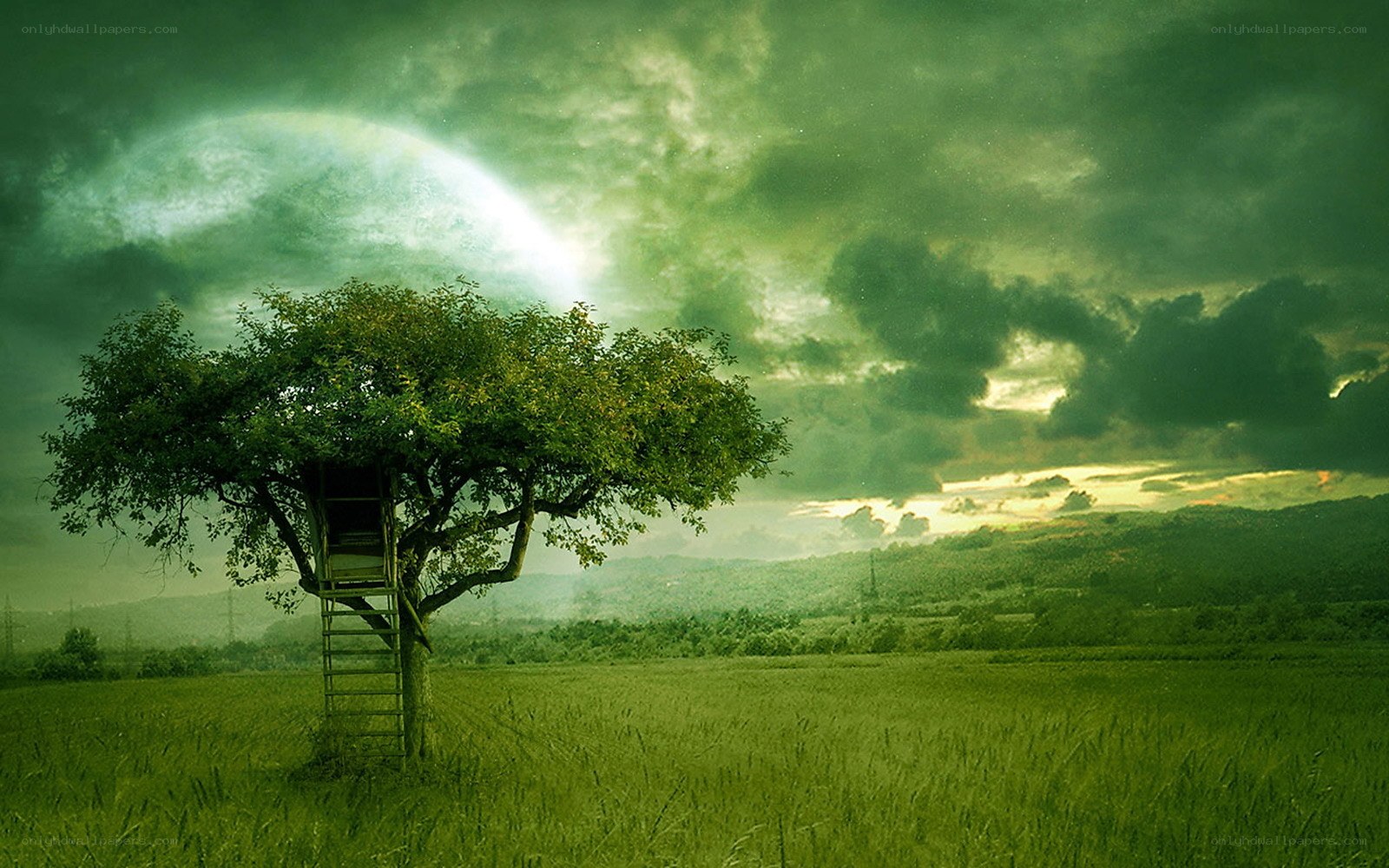 Treehouse under a green moon