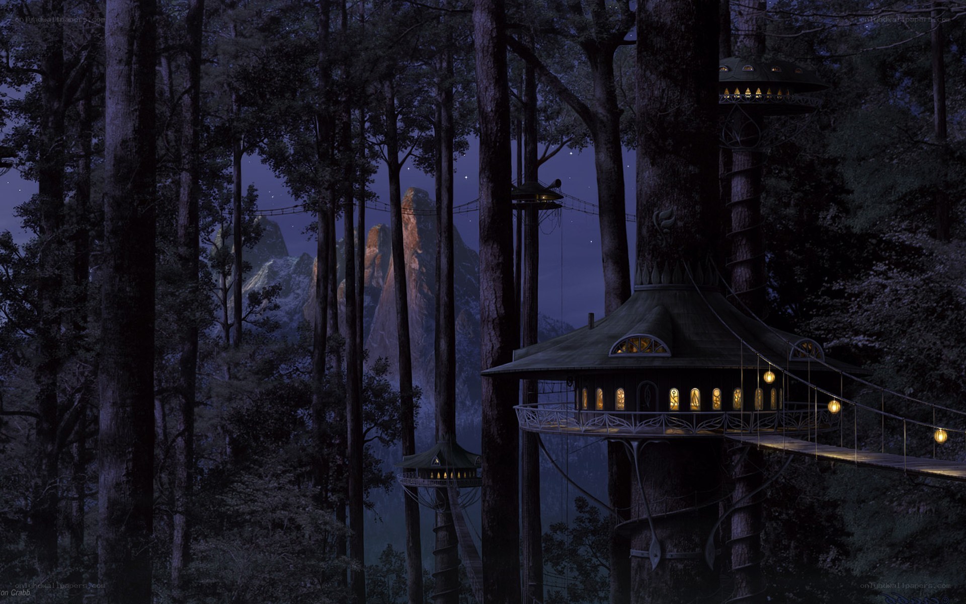 Treehouse village in forest