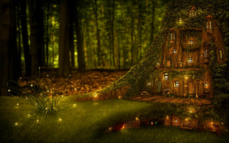 Treehouse Village in Forest — Green, Serene