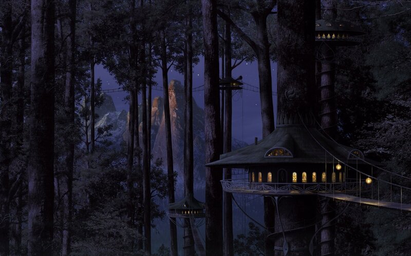 Treehouse village in forest