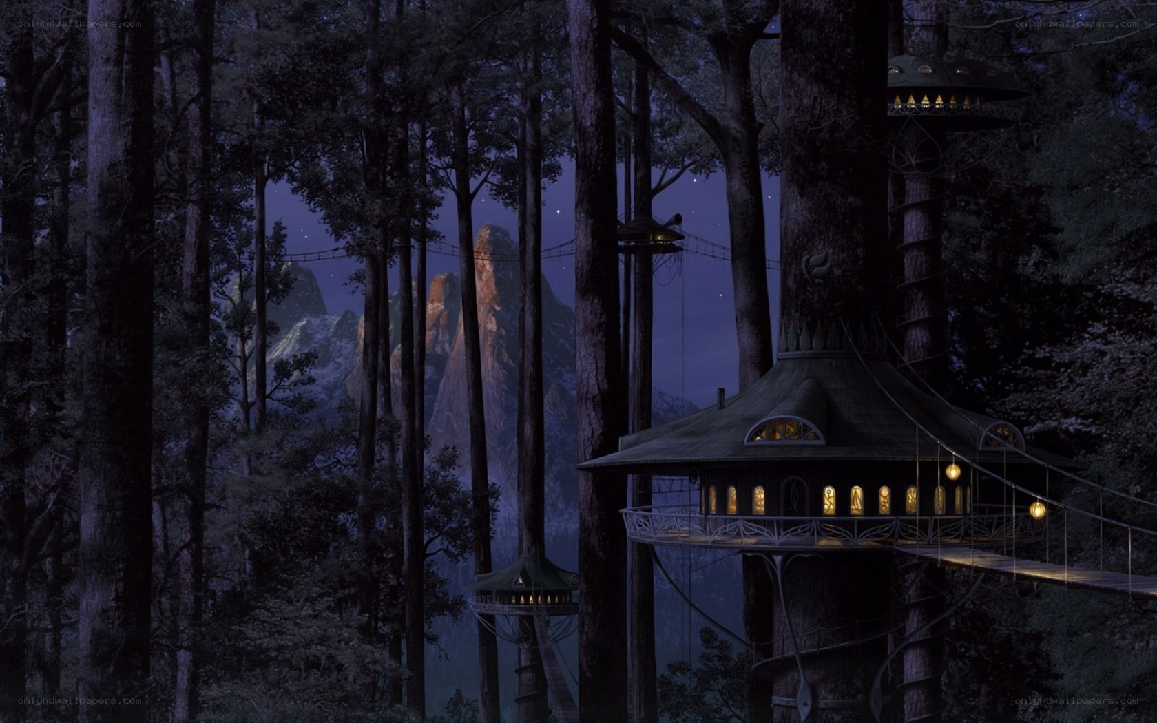 Treehouse village in forest