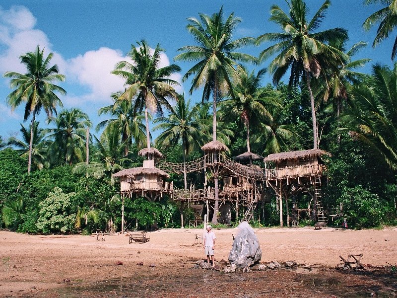 Treehouse Village on Beach