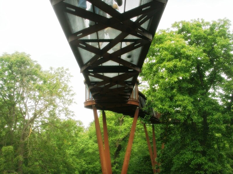 Treehouse Walkway