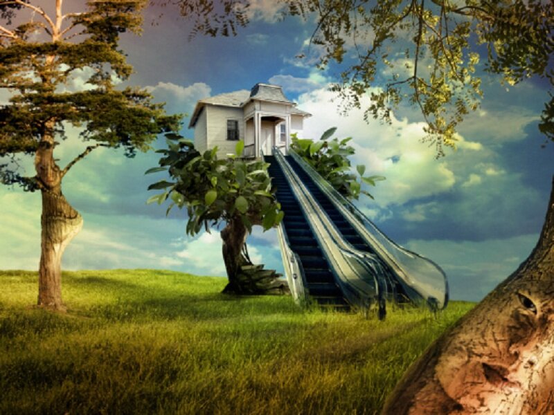 Treehouse with Escalator