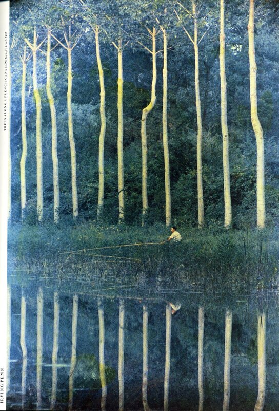 Trees along a French canal