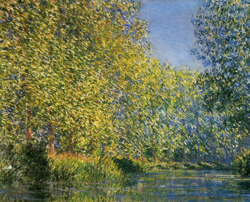 Trees Along a Riverbank — Green