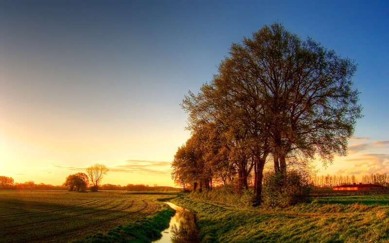 Trees Along a Stream — Blue, Serene, Sunset