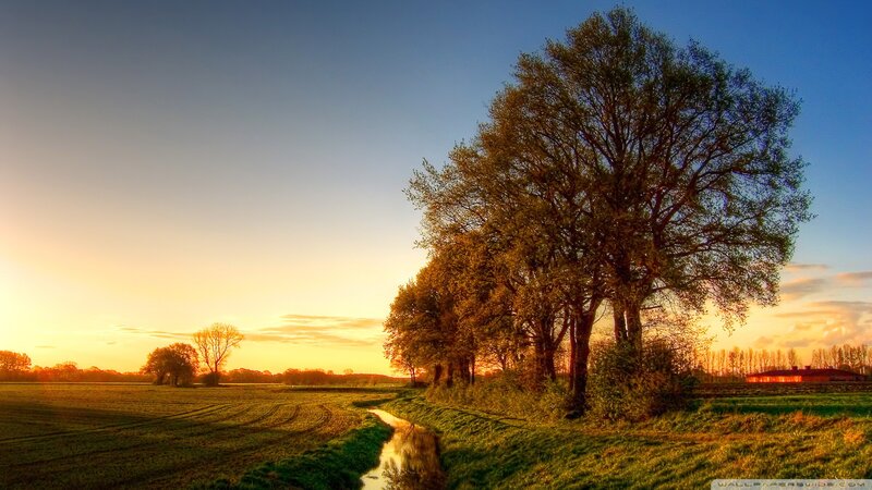Trees Along a Stream — Blue