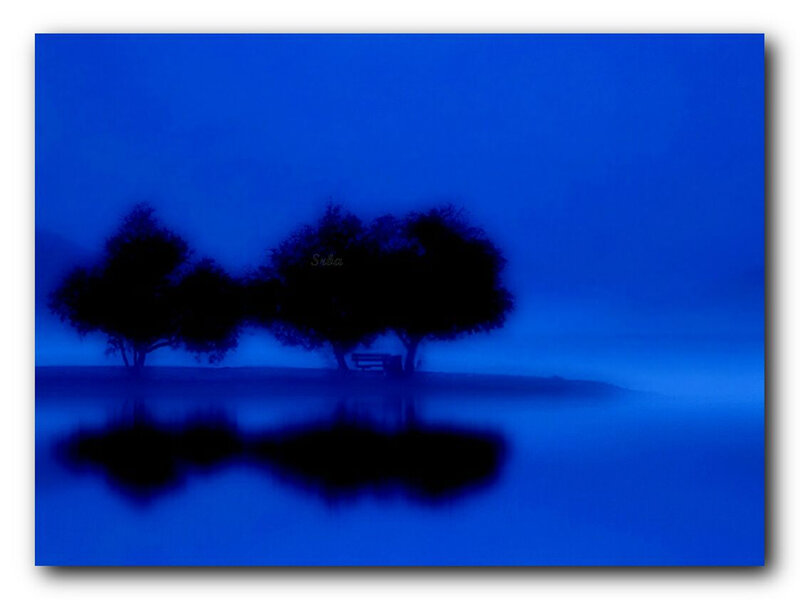 Trees and Bench on Island