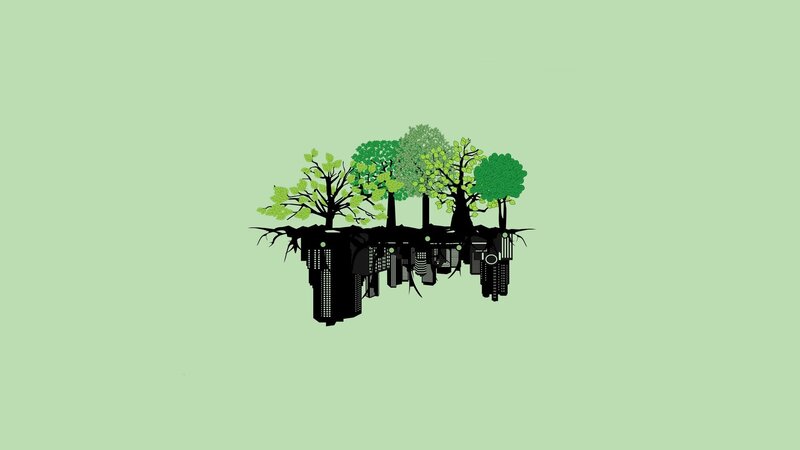 Trees and City Skyline