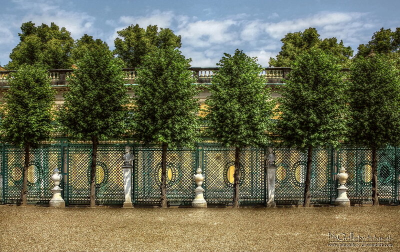 Trees and Fence in Garden