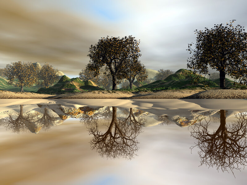 Trees and Hills Reflection