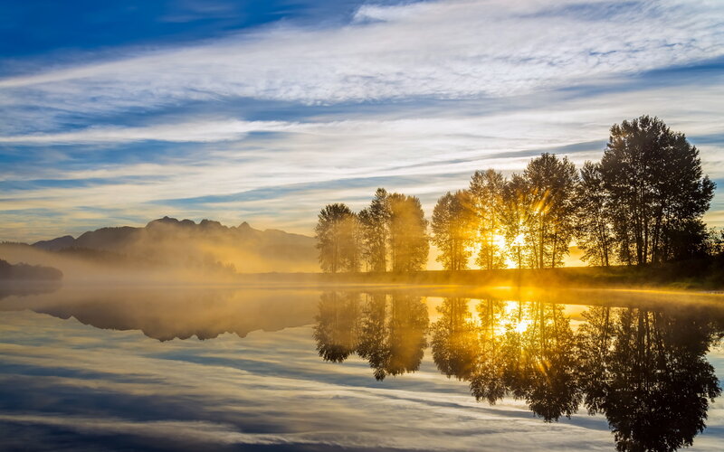 Trees and Lake at Sunrise