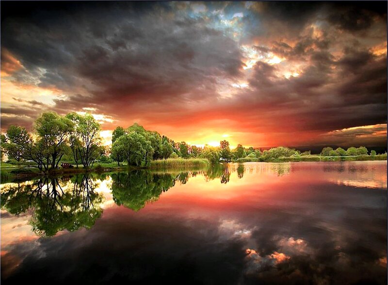 Trees and Lake at Sunset