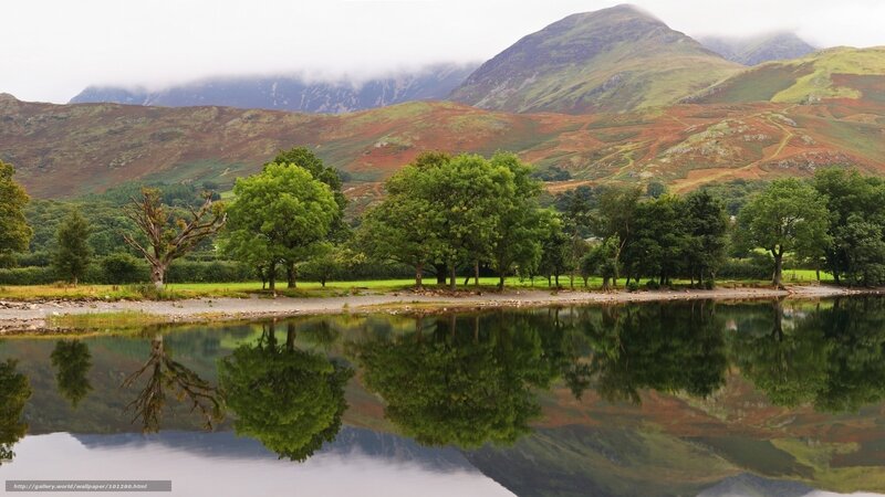 Trees and Lake Reflection