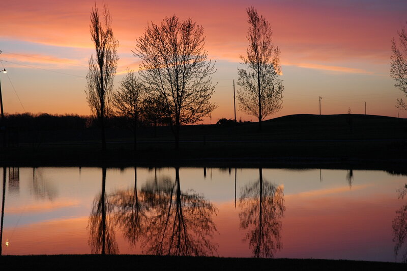 Trees and Pond at Sunset