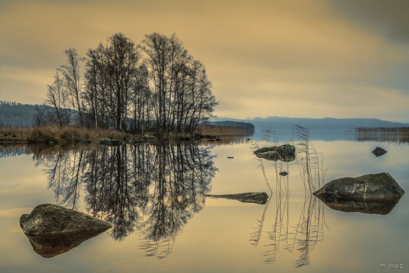 Trees and Rocks in Lake