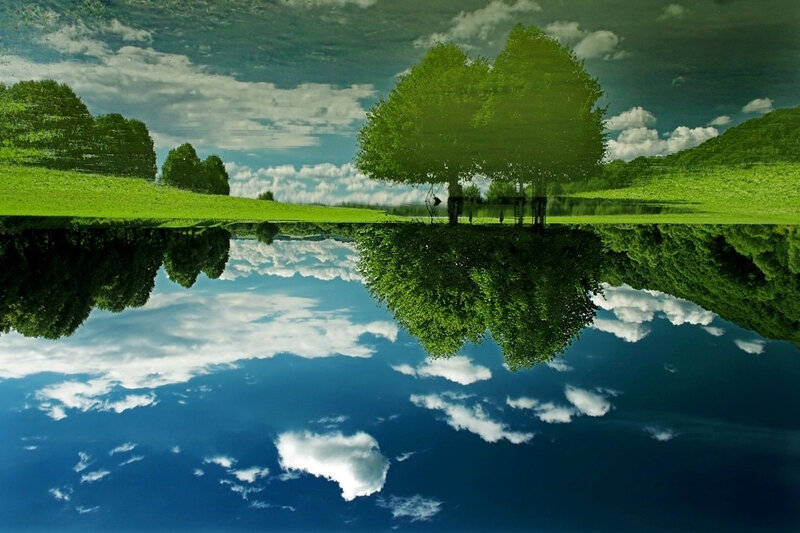 Trees and Sky Reflection