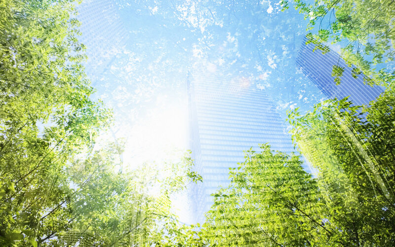 Trees and skyscrapers view
