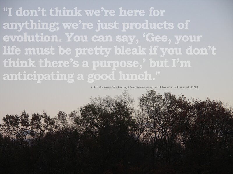Trees at Dusk — Gray