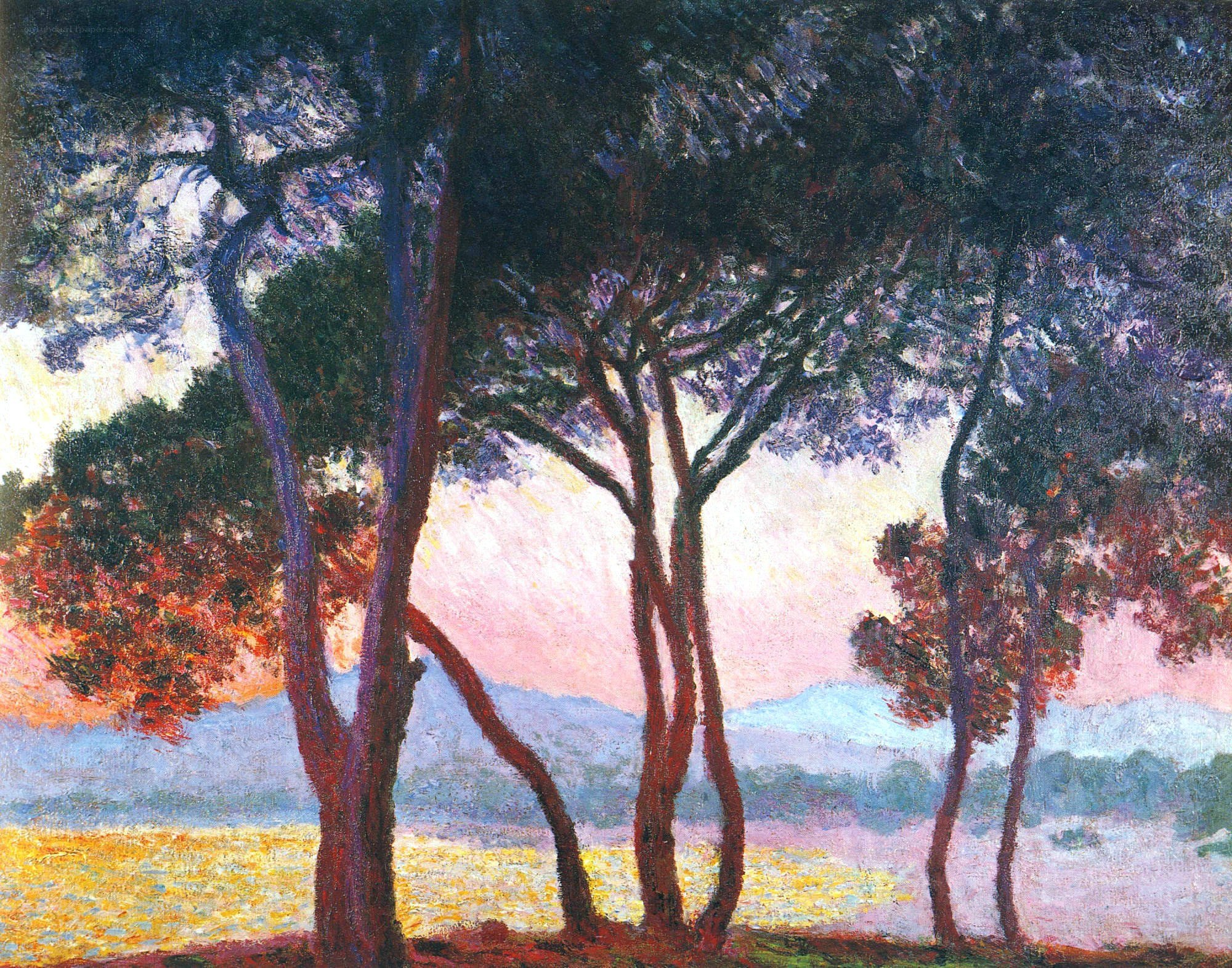 Trees at Sunset by the Sea