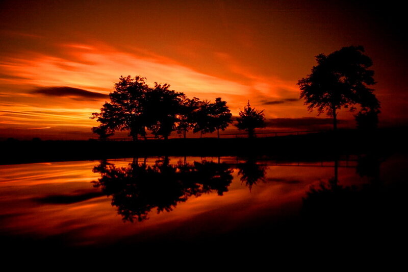 Trees at Sunset — Orange, Dramatic, Photograph