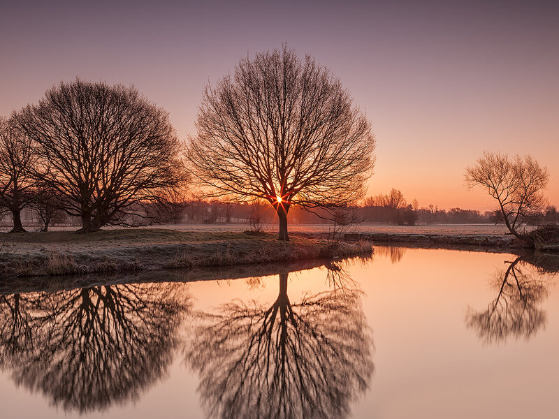 Trees at Sunset — Orange, Serene, Photograph, River