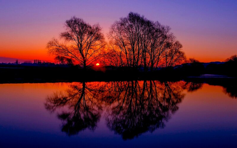 Trees at Sunset — Orange, Serene, Photograph