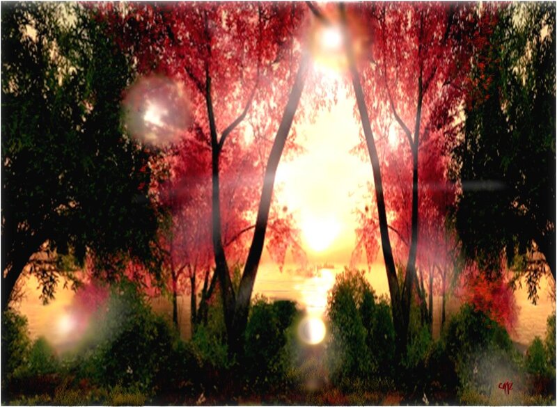 Trees at Sunset — Red