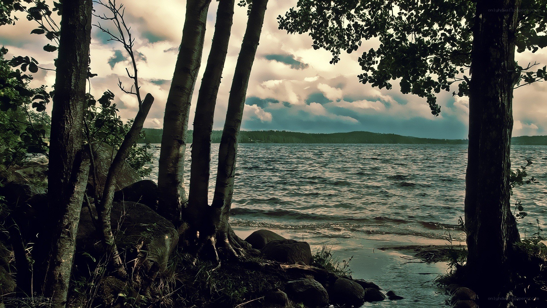 Trees by a lake at dusk