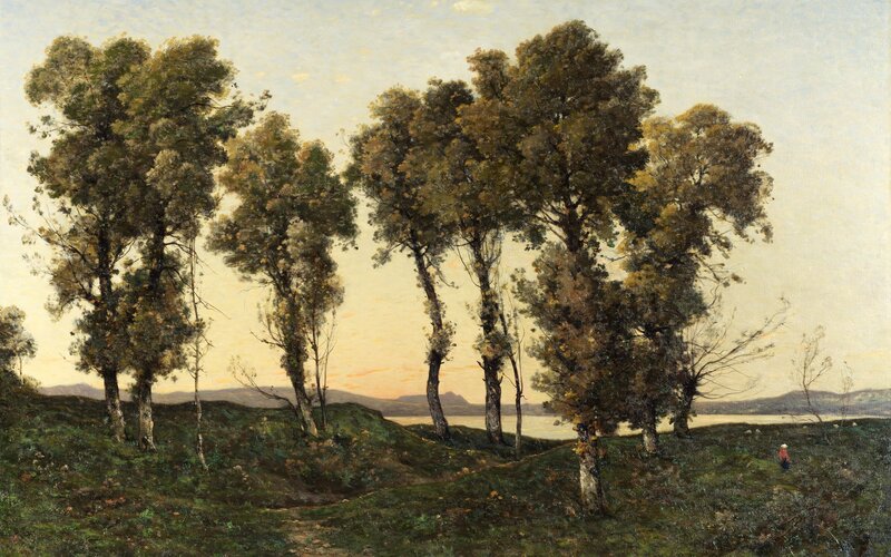 Trees by a lake at sunset