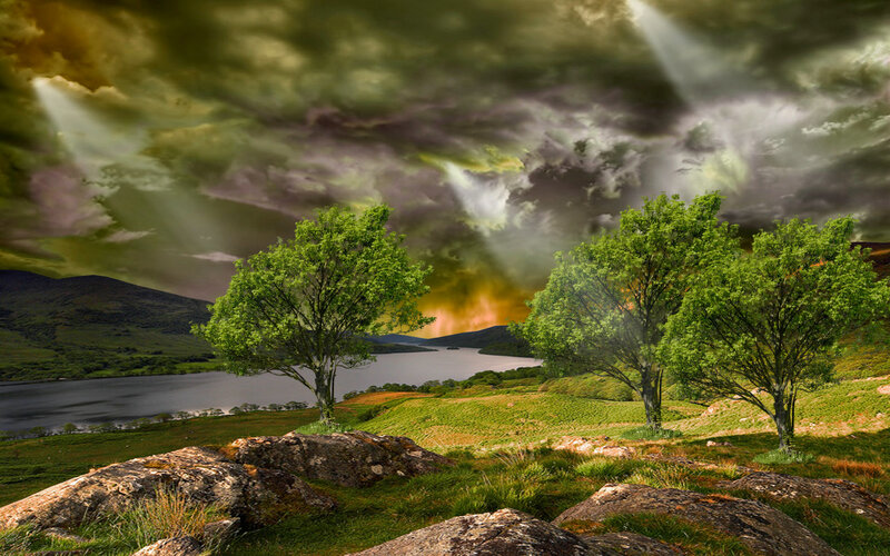 Trees by a Lake — Green, Dramatic, Afternoon