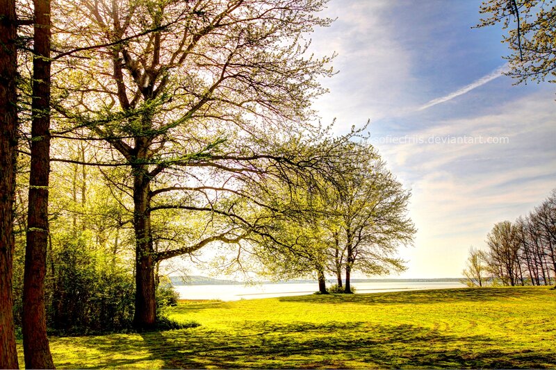 Trees by a Lake — Green, Serene, Afternoon, Photograph, Grass, Sky